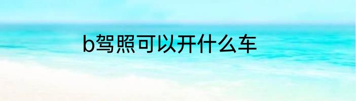 b驾照可以开什么车