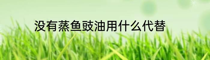 没有蒸鱼豉油用什么代替