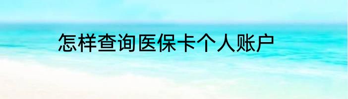 怎样查询医保卡个人账户