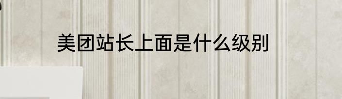 美团站长上面是什么级别