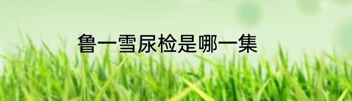 鲁一雪尿检是哪一集