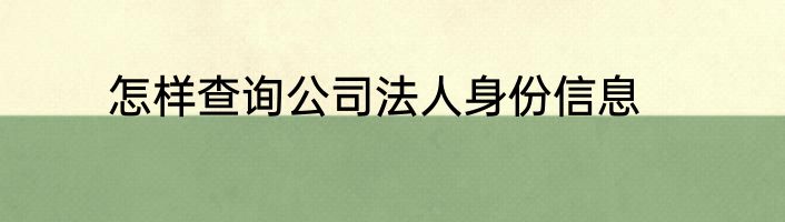 怎样查询公司法人身份信息