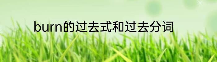 burn的过去式和过去分词