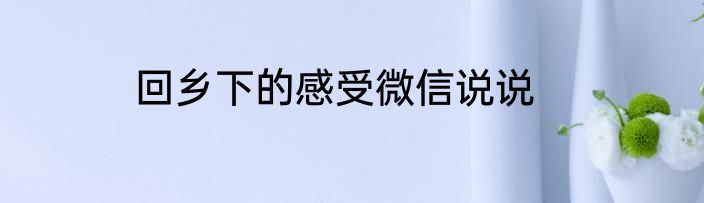 回乡下的感受微信说说