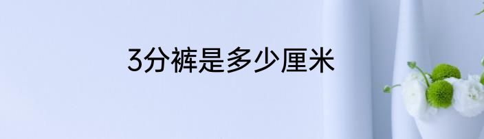 3分裤是多少厘米