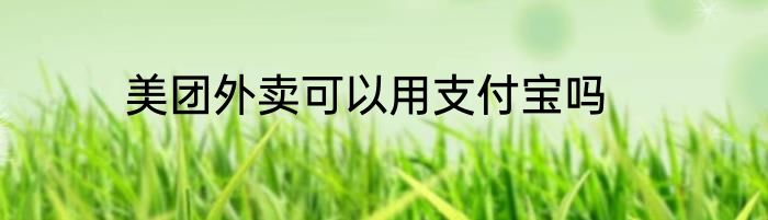 美团外卖可以用支付宝吗