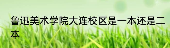 鲁迅美术学院大连校区是一本还是二本