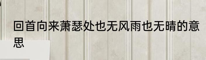 回首向来萧瑟处也无风雨也无晴的意思