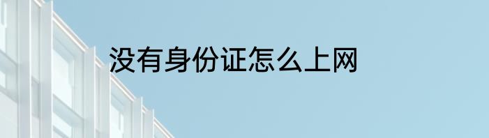 没有身份证怎么上网