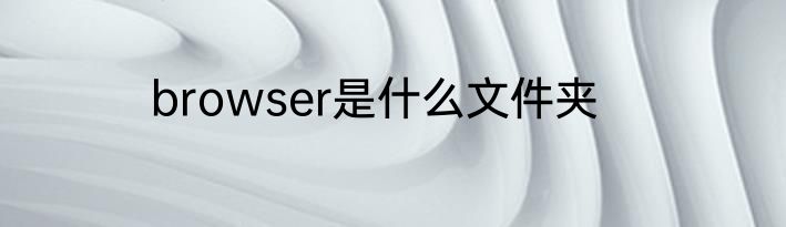 browser是什么文件夹
