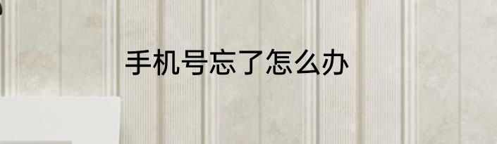 手机号忘了怎么办