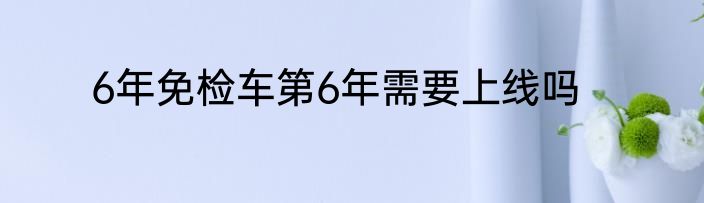 6年免检车第6年需要上线吗