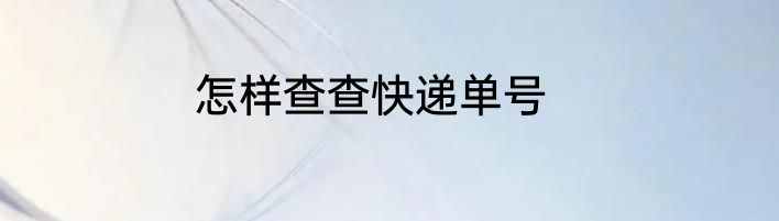 怎样查查快递单号
