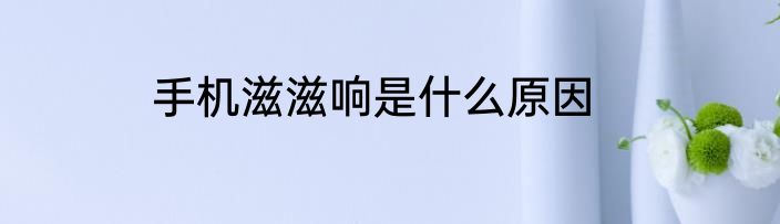 手机滋滋响是什么原因