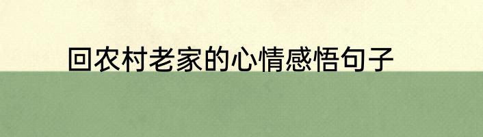 回农村老家的心情感悟句子