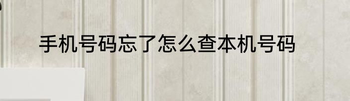 手机号码忘了怎么查本机号码