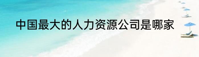 中国最大的人力资源公司是哪家