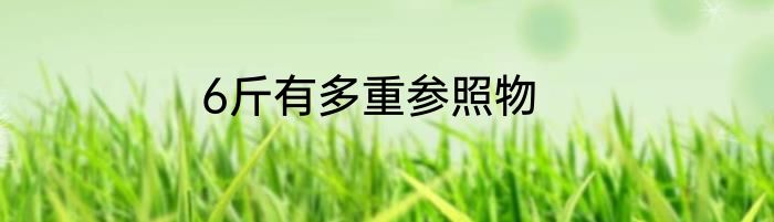 6斤有多重参照物