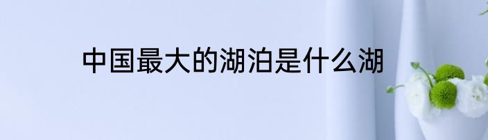 中国最大的湖泊是什么湖
