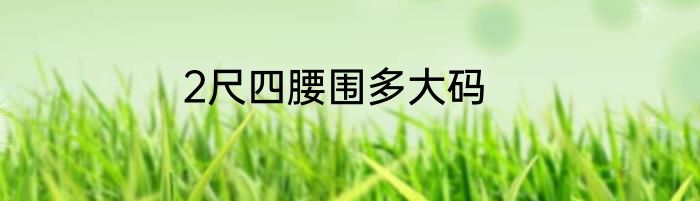 2尺四腰围多大码