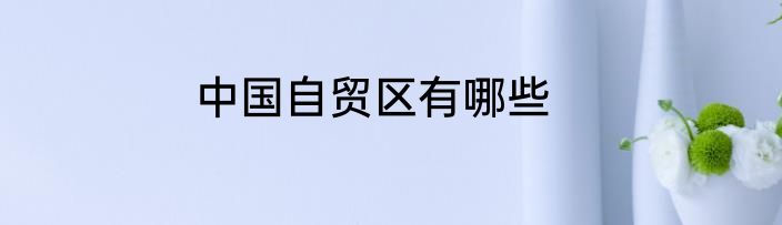 中国自贸区有哪些