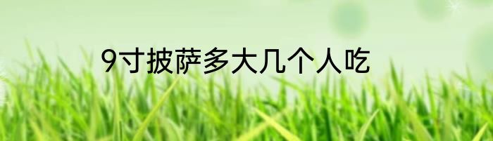 9寸披萨多大几个人吃