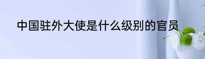 中国驻外大使是什么级别的官员