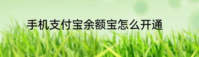 手机支付宝余额宝怎么开通