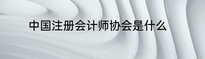 中国注册会计师协会是什么