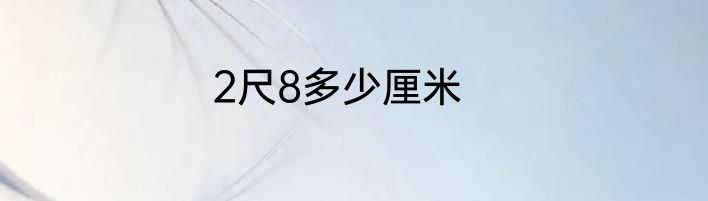 2尺8多少厘米
