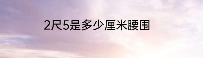 2尺5是多少厘米腰围