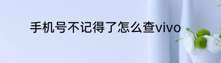 手机号不记得了怎么查vivo