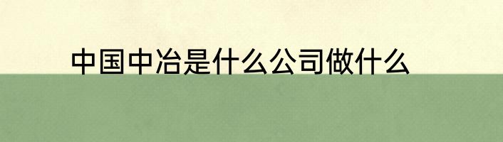 中国中冶是什么公司做什么