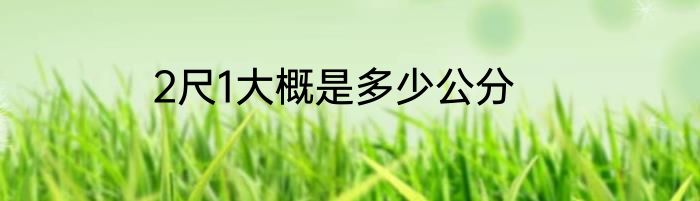 2尺1大概是多少公分