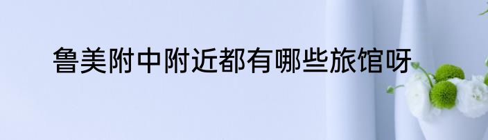鲁美附中附近都有哪些旅馆呀