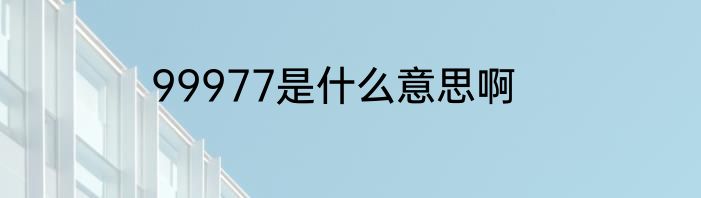 99977是什么意思啊