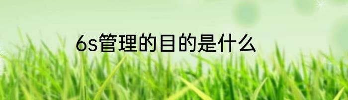 6s管理的目的是什么
