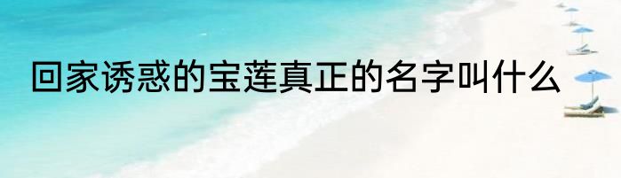 回家诱惑的宝莲真正的名字叫什么