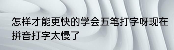 怎样才能更快的学会五笔打字呀现在拼音打字太慢了