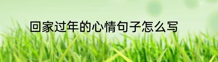 回家过年的心情句子怎么写