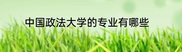 中国政法大学的专业有哪些