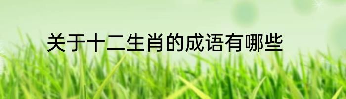 关于十二生肖的成语有哪些