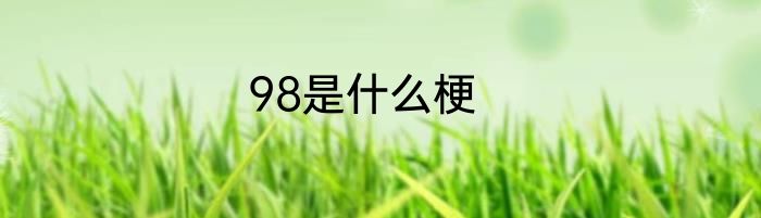 98是什么梗