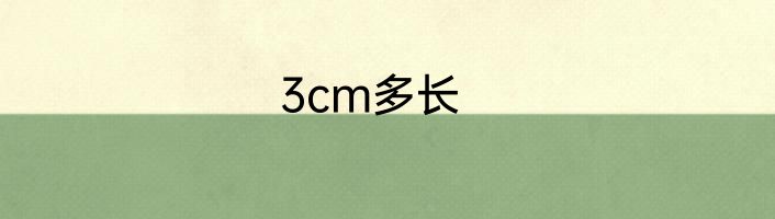 3cm多长