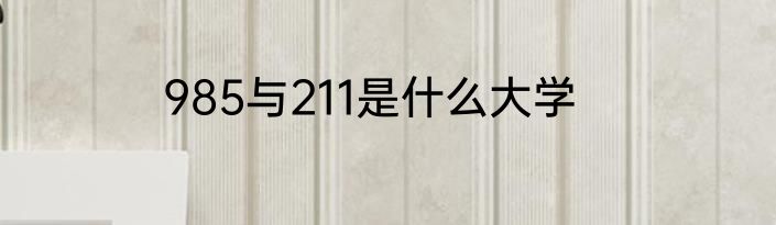 985与211是什么大学