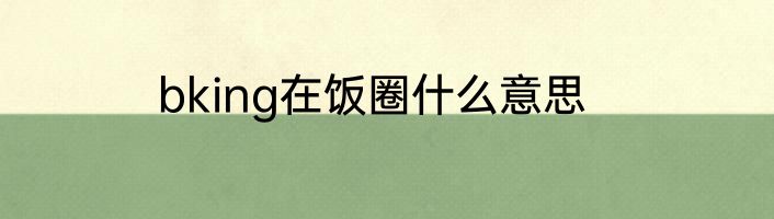 bking在饭圈什么意思