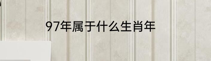 97年属于什么生肖年