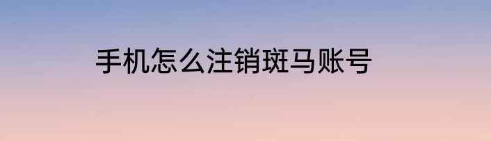 手机怎么注销斑马账号