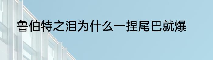 96305查询身份证办理进度