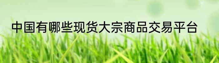 中国有哪些现货大宗商品交易平台